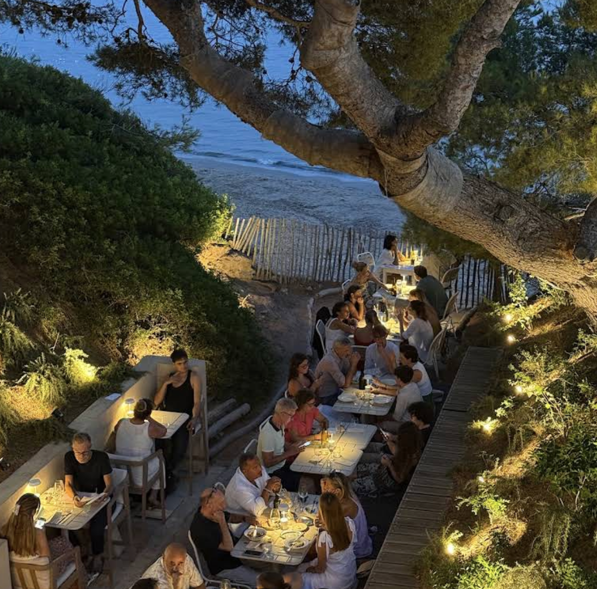 Tables du Jardin d’été – MER & Fils sous les pins, au bord de la plage
