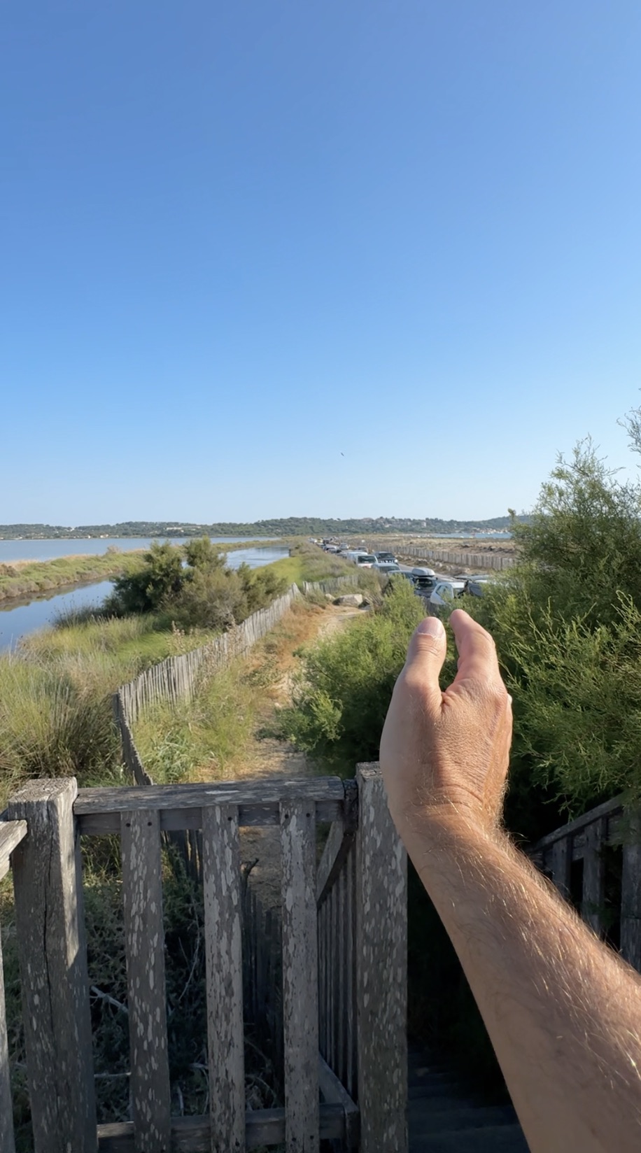 Escalier en bois vers un espace littoral entre végétation et salins à Hyères